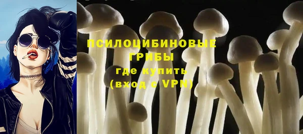 apvp Алексеевка