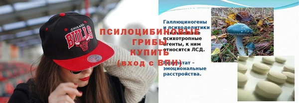 apvp Алексеевка