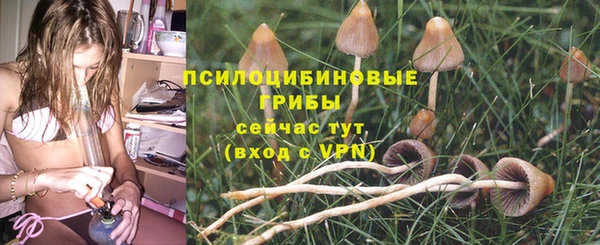 apvp Алексеевка